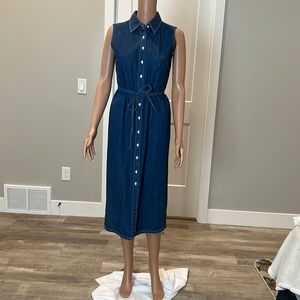 Ann Taylor dress